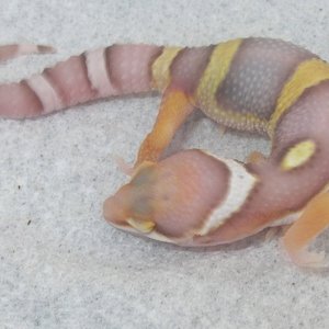 DSCN2756