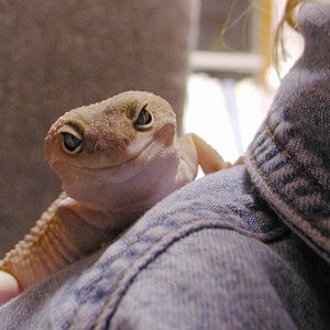 Drumstick sitting on my shoulder