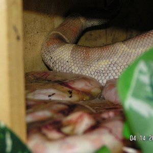PICT0025