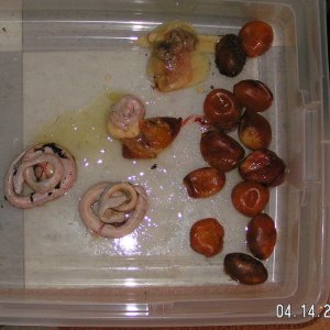 PICT0045