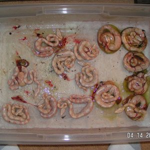 PICT0048