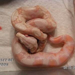 Baby #6