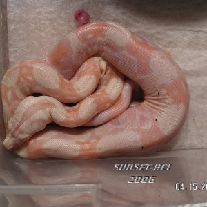 Baby #8