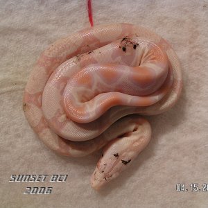 Baby #7
