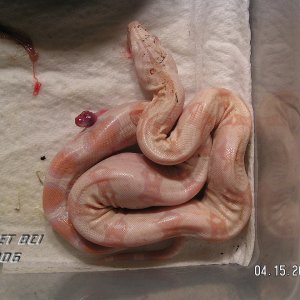 Baby #9