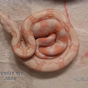 Baby #13
