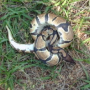 baby outside
