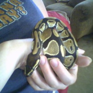 myball
