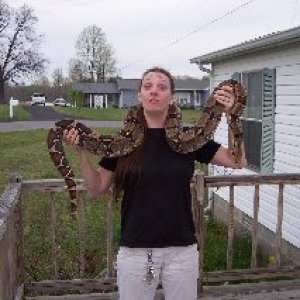 sheba_and_my_wife