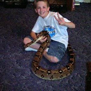 sheba_and_my_son