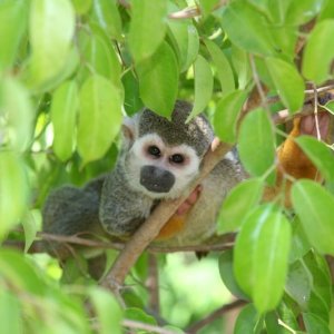 Zoo_-_052806_040