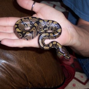 baby_2