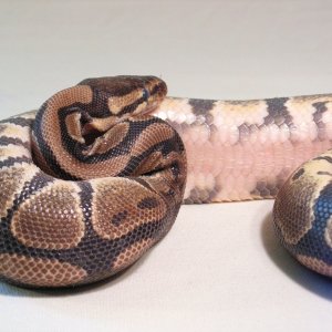 more of baby 3