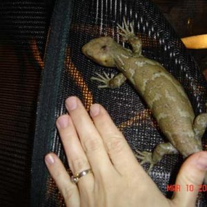 My 2nd Baby PTS March 2006