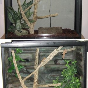 Reptiscapes-  for the 'Upscale' Herp!