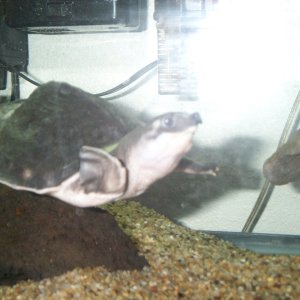 Picture_004