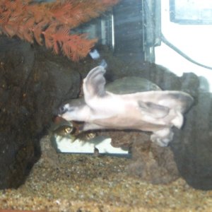 Picture_002