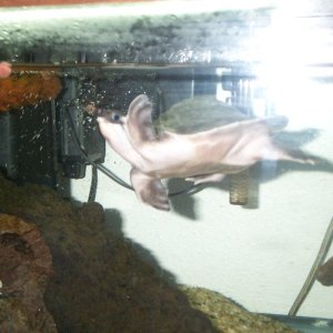 Picture_005