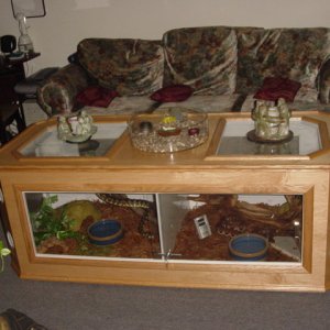 Our  coffee table terrarium custom built us by