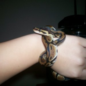 My little girl