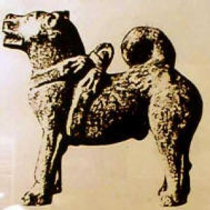 sharpei_071