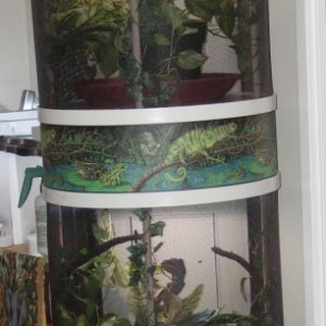 our custom built terrarium
