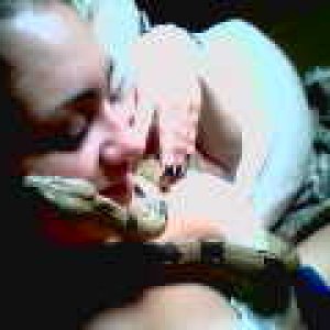 snake-sweet_sadie