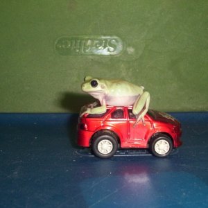 Baby WTF on Car