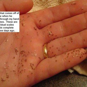 Problem Molt....back scales