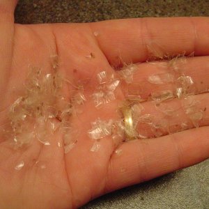 Problem Molt....belly scales