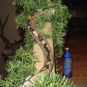 Monty's favorite spot
