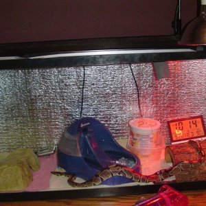 Cage Setup