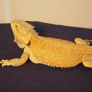 Rusty