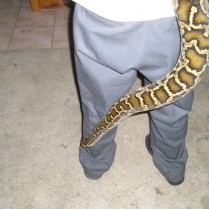Image00010