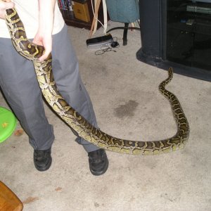 Image00013