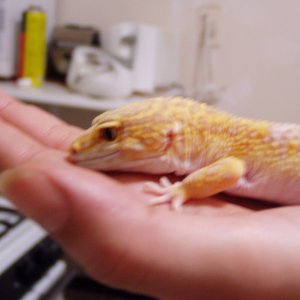 bichitos021