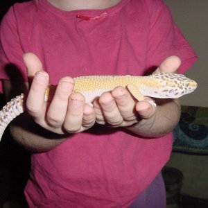 female bell