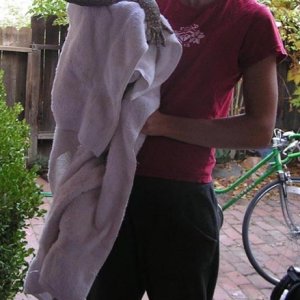 Spartacus, out of the bath
