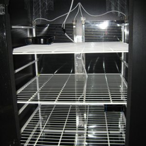Incubator