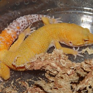 DSC02563