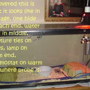 cage_setup