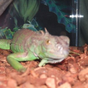 2006_0325Image0107
