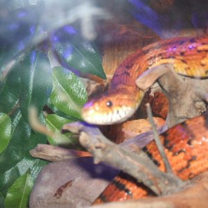2006_0325Image0091