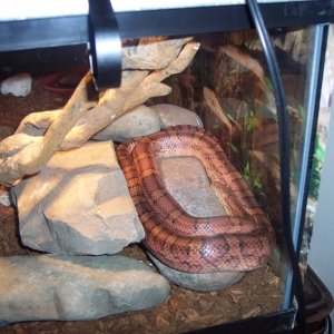 Picture_390