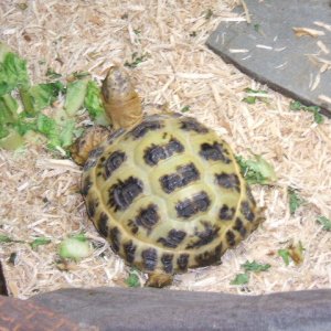 2006_0325Image0016
