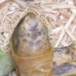 2006_0325Image0017
