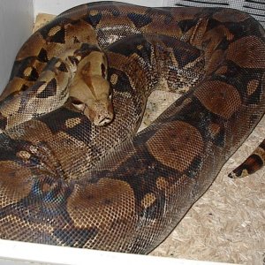 Picture_or_Video_017