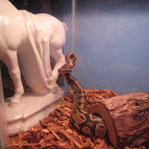 Picture_1581