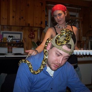 Tiger Het albino "Poker Face"