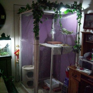 Her teenage cage